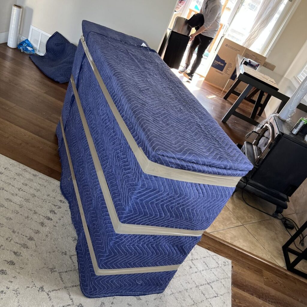 moving proz furniture protection